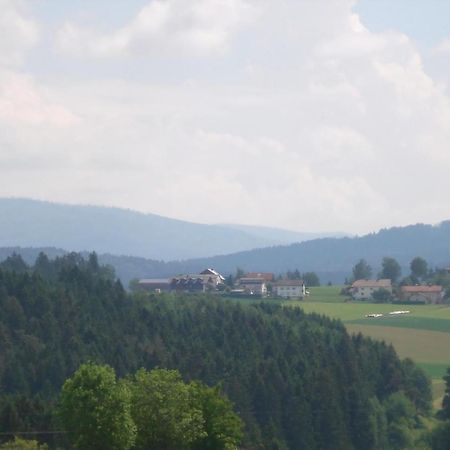Ferienwohnung Rachel Mit Herrlichem Ausblick Rinchnach Kültér fotó
