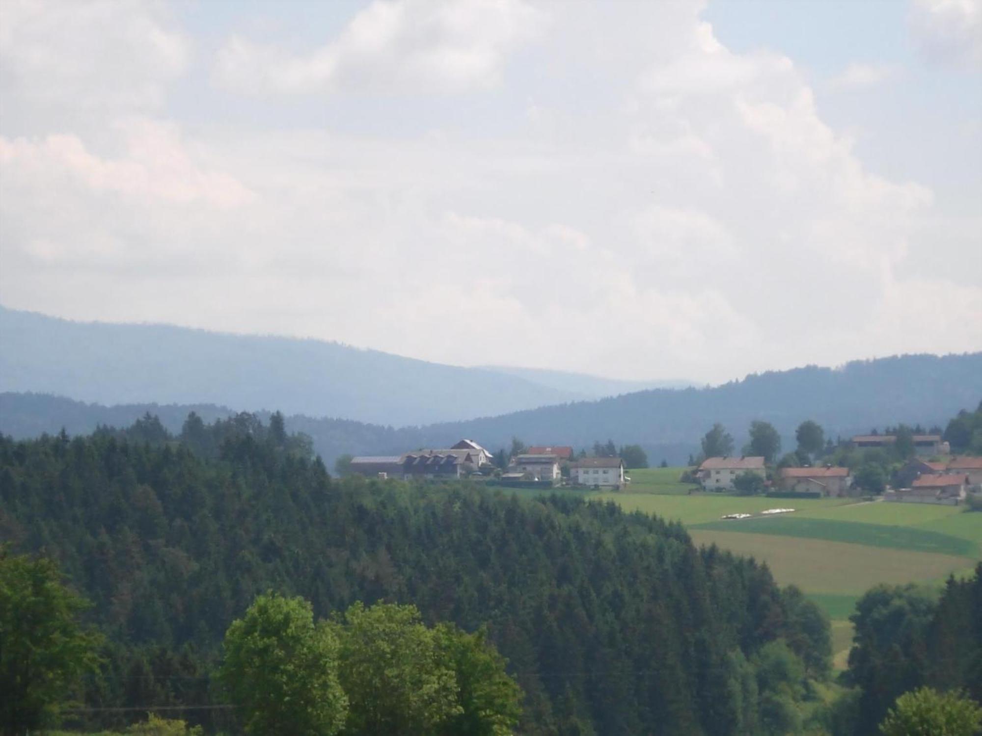 Ferienwohnung Rachel Mit Herrlichem Ausblick Rinchnach Kültér fotó